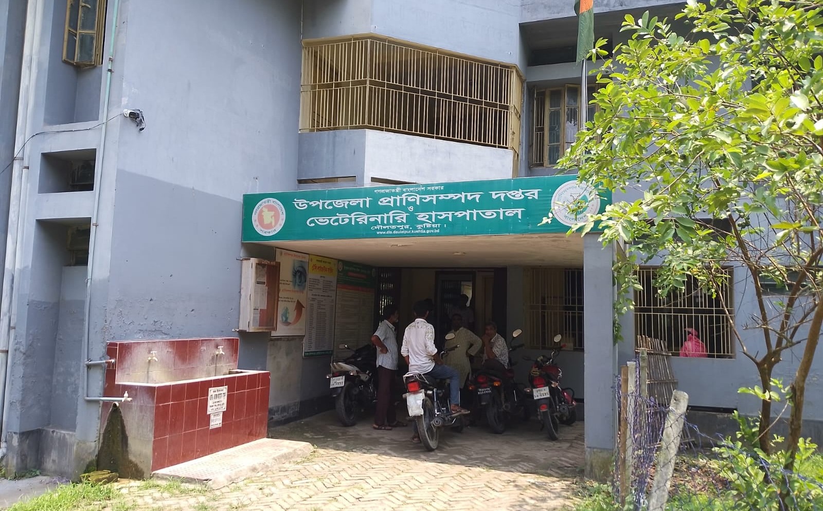 দৌলতপুরে প্রাণিসম্পদ দপ্তরে উন্নত জাতের ঘাস চাষ প্রকল্পের অর্থ প্রদানে নয় ছয়